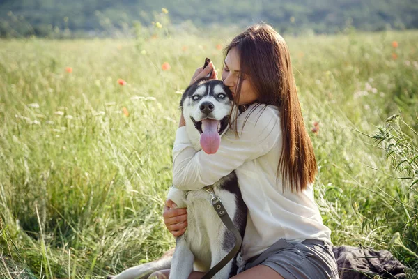 Piękna Młoda Kobieta Bawiąca Się Zabawnym Husky Dog Świeżym Powietrzu — Zdjęcie stockowe