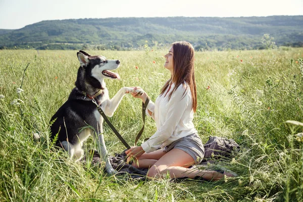 Belle Jeune Femme Jouant Avec Chien Husky Drôle Extérieur Parc — Photo