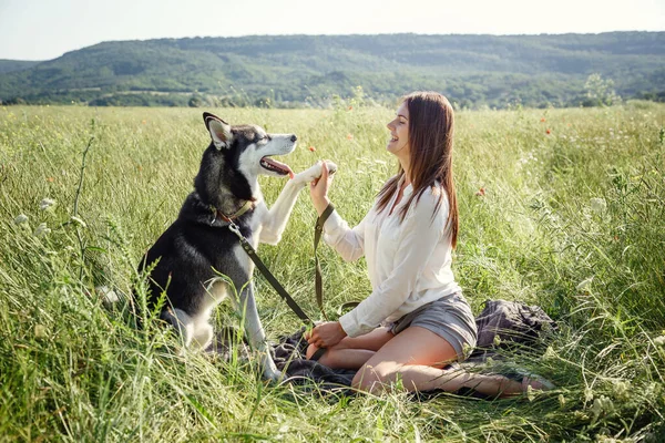 公園で面白いハスキー犬と屋外で遊んで美しい若い女性 夏と日没 無条件の愛 シベリアのハスキー好きなペット 動物飼育 血統犬の概念 親友だ — ストック写真