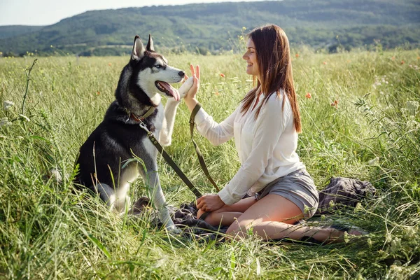 Όμορφη Νεαρή Γυναίκα Παίζει Αστεία Husky Σκυλί Εξωτερικούς Χώρους Στο — Φωτογραφία Αρχείου