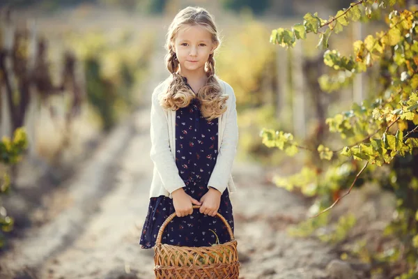 Klein Meisje Met Druiven Buiten Serie Herfst Provence Platteland — Stockfoto