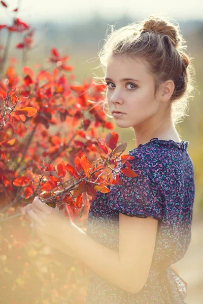 Young Pretty Woman Autumn Park Dreams Reading Books Provence — Stock Photo, Image