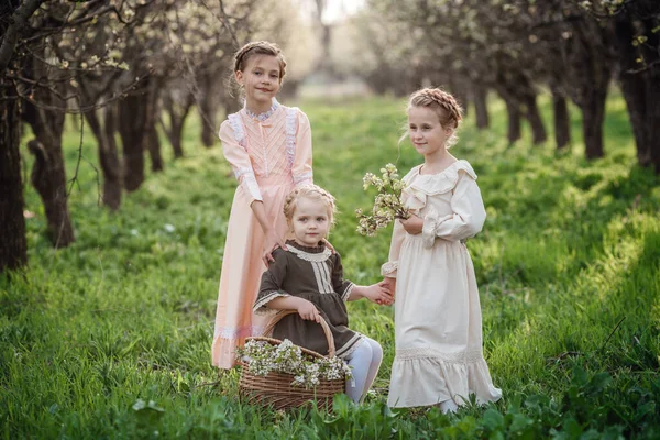 Tři Krásné Dívky Retro Šaty Procházku Květované Zahradě Myšlenka Koncept — Stock fotografie