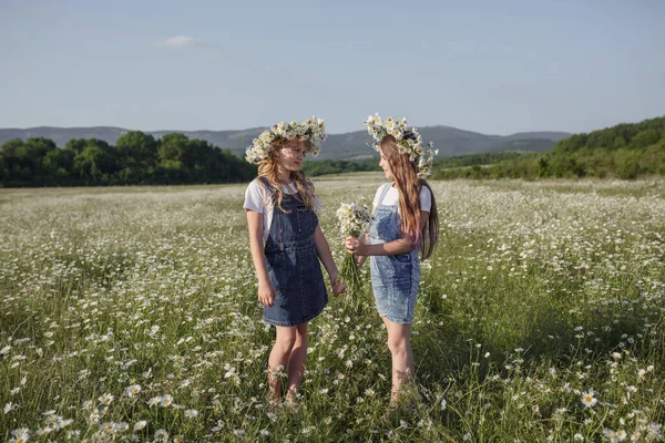 两个穿着牛仔工作服的可爱的少女在雏菊地里散步 关于健康 快乐童年 友谊的观念和概念 — 图库照片