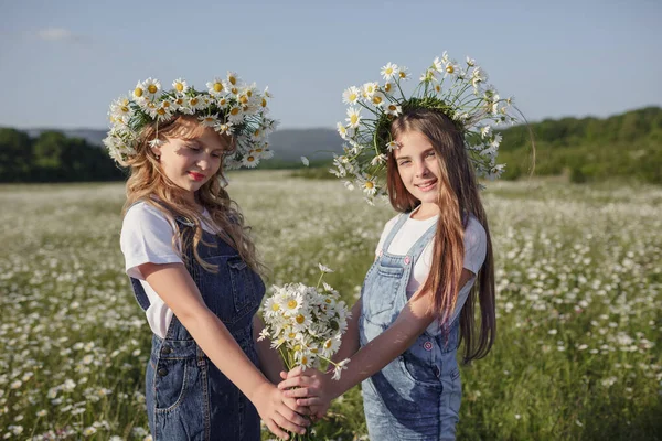 两个穿着牛仔工作服的可爱的少女在雏菊地里散步 关于健康 快乐童年 友谊的观念和概念 — 图库照片