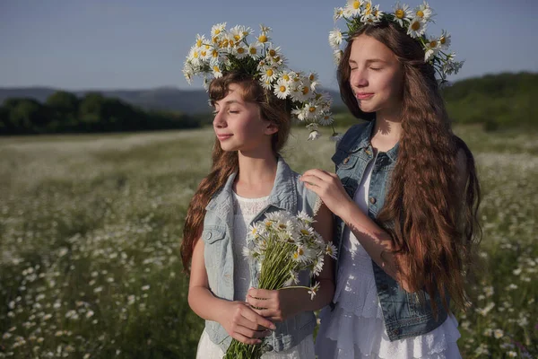 Duas Meninas Adolescentes Bonitos Ganga Com Belo Cabelo Castanho Longo — Fotografia de Stock