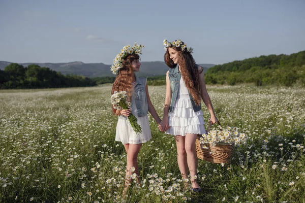 Două Fete Drăguțe Adolescente Denim Păr Castaniu Sănătos Lung Într — Fotografie, imagine de stoc