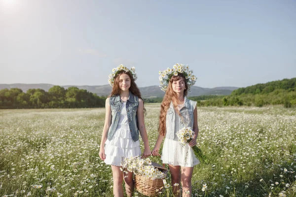 两个可爱的少女 穿着牛仔 美丽健康的棕色长发 在雏菊地里 关于健康 快乐童年 友谊的观念和概念 — 图库照片