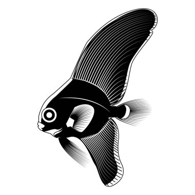 İzole balık siluet