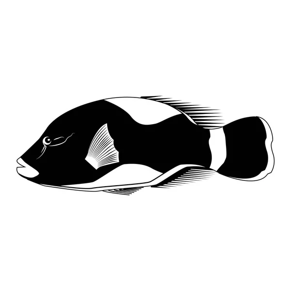 分離魚シルエット — ストックベクタ