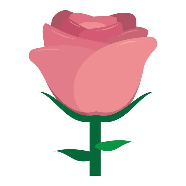 Vector lindo kawaii rosa colorido aislado — Vector de stock