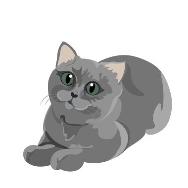 Çizgi film Gri Kabarık Kedi Çizimi İzole Edildi