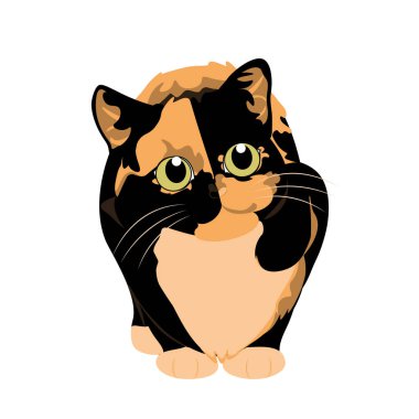 Tatlı Siyah ve Turuncu Kedi Çizimi İzole Edildi