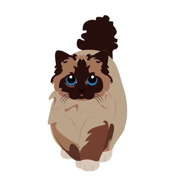 Cartoon Cute Fluffy Cat Illustration Isolated — 스톡 벡터