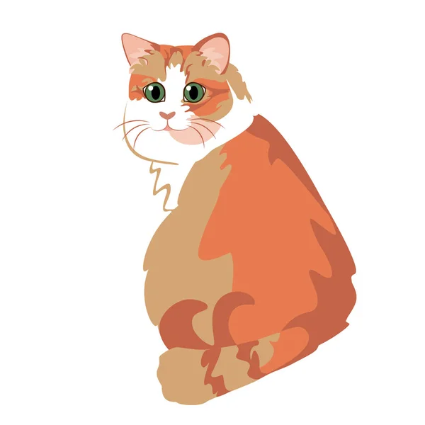Cartoon Cute Orange Cat Illustration Isolated — Stock Vector