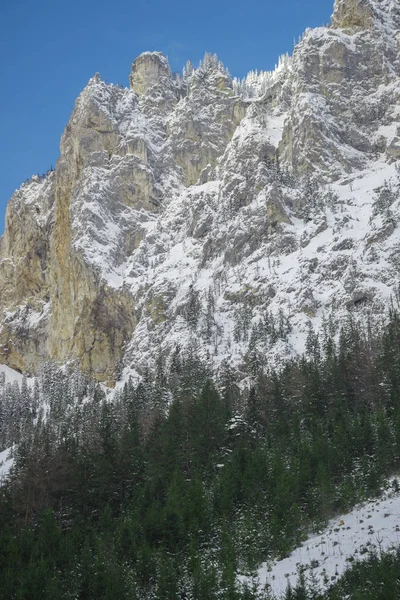 Detalhe do rosto da montanha com rochas, neve e árvores perto do lago Verde (Grunner ver) no dia ensolarado de inverno. Destino turístico famoso para caminhadas e trekking na região da Estíria, Áustria — Fotografia de Stock