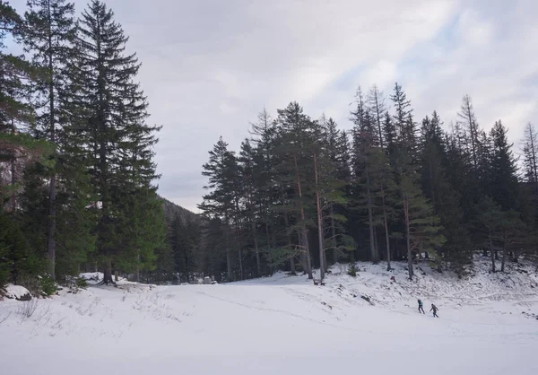 Paisagem de inverno com montanha e árvores perto do lago Verde (Gruner ver) em dia ensolarado. Destino turístico famoso para caminhadas e trekking na região da Estíria, Áustria — Fotografia de Stock