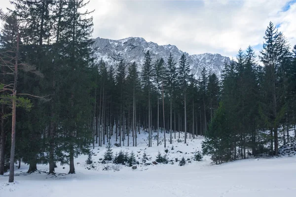 Güneşli bir günde, dağlı kış manzarası ve Yeşil Göl yakınlarında ağaçlar. Avusturya 'nın Styria bölgesinde yürüyüş ve yürüyüş için ünlü turizm beldesi — Stok fotoğraf
