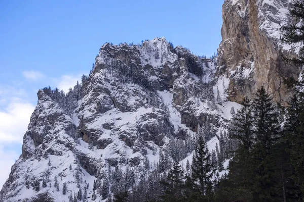 Detalhe do rosto da montanha com rochas, neve e árvores perto do lago Verde (Grunner ver) no dia ensolarado de inverno. Destino turístico famoso para caminhadas e trekking na região da Estíria, Áustria — Fotografia de Stock