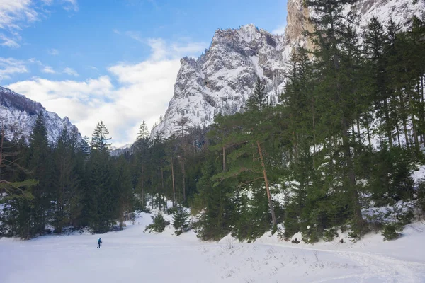 Zimní krajina s horami a stromy v blízkosti Zeleného jezera (Gruner viz) za slunečného dne. Slavná turistická destinace pro pěší a pěší turistiku ve Štýrsku, Rakousko — Stock fotografie