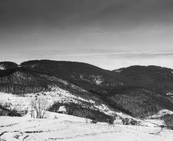 Traditionele huizen in Dumesti dorp, Apuseni gebergte, Transsylvanië, Roemenië, in de winter, zwart-wit foto — Stockfoto