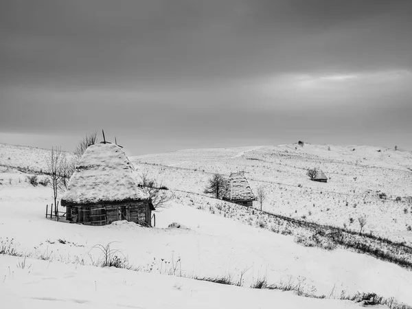 Traditionele huizen in Dumesti dorp, Apuseni gebergte, Transsylvanië, Roemenië, in de winter, zwart-wit foto — Stockfoto