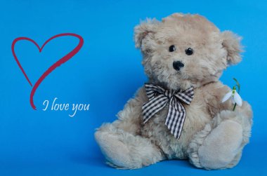 Sırtüstü kırmızı kalpleri olan, kar damlası tutan sevimli bir oyuncak ayı.