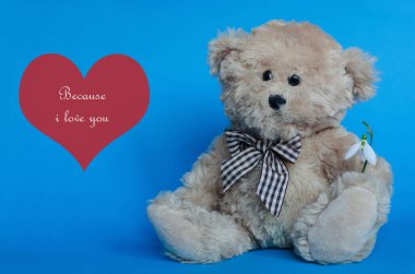 Sırtüstü kırmızı kalpleri olan, kar damlası tutan sevimli bir oyuncak ayı.