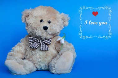 Sırtüstü kırmızı kalpleri olan, kar damlası tutan sevimli bir oyuncak ayı.