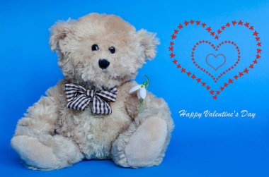 Sırtüstü kırmızı kalpleri olan, kar damlası tutan sevimli bir oyuncak ayı.