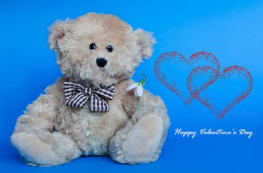 Sırtüstü kırmızı kalpleri olan, kar damlası tutan sevimli bir oyuncak ayı.