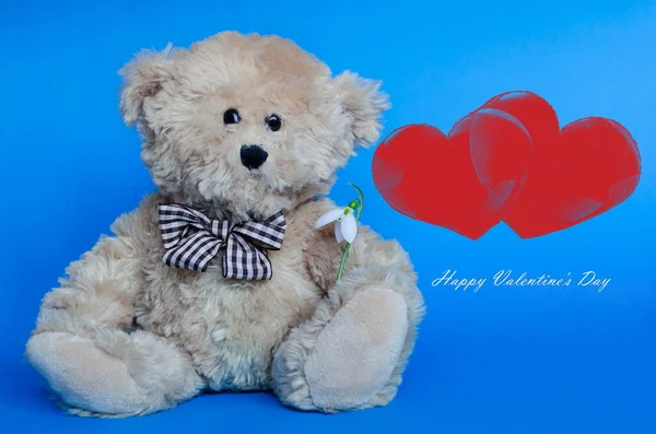 Urso de pelúcia bonito segurando uma gota de neve, com corações vermelhos no fundo para o Dia dos Namorados e celebrações do amor — Fotografia de Stock