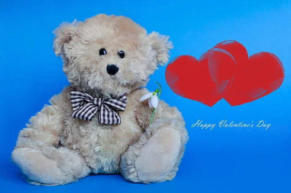 Cute teddy bear holding a snowdrop, with red hearts on background for Valentine's Day and love celebrations — Stock Photo, Image