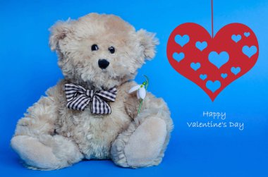 Sırtüstü kırmızı kalpleri olan, kar damlası tutan sevimli bir oyuncak ayı.