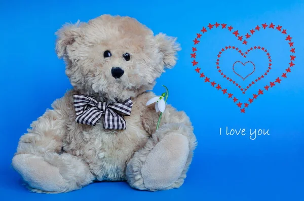 Cute teddy bear holding a snowdrop, with red hearts on background for Valentine's Day and love celebrations — Stock Photo, Image
