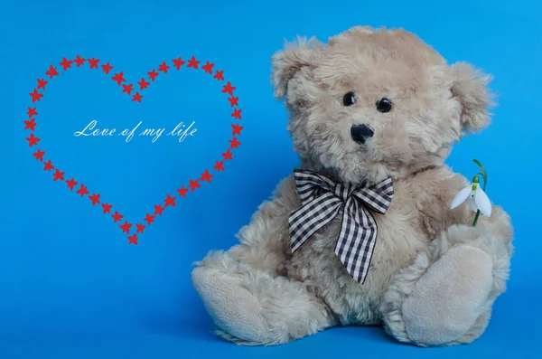 Cute teddy bear holding a snowdrop, with red hearts on backgroun — Stock Photo, Image