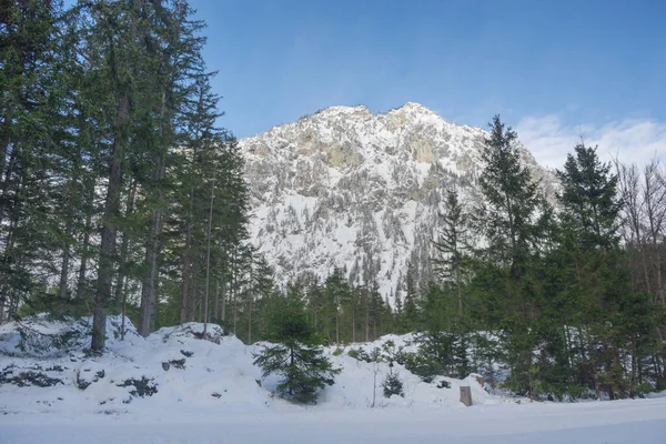 Paisagem de inverno com montanha e árvores perto do lago Verde (Grunner ver) em dia ensolarado. Destino turístico famoso para caminhadas e trekking na região da Estíria, Áustria — Fotografia de Stock