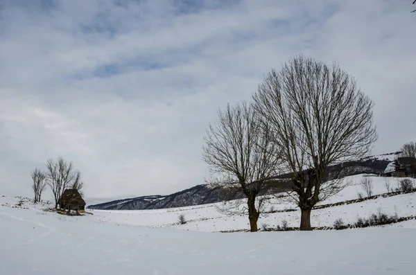 Casas tradicionais na aldeia de Dumesti, Montanhas Apuseni, Romênia, no inverno — Fotografia de Stock