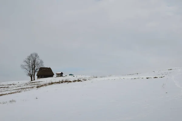 Traditionele huizen in Dumesti dorp, Apuseni gebergte, Roemenië, in de winter — Stockfoto