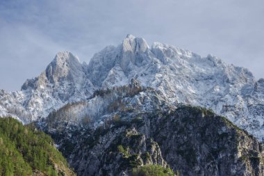Avusturya 'nın Styria bölgesindeki Gesause Ulusal Parkı' nda güzel yüksek dağları olan kış manzarası