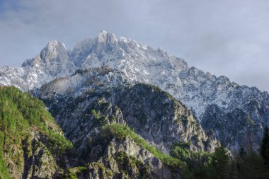Avusturya 'nın Styria bölgesindeki Gesause Ulusal Parkı' nda güzel yüksek dağları olan kış manzarası