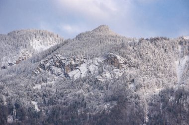 Avusturya 'nın Styria bölgesinde kayalar, karlar ve ağaçlarla kaplı dağ yüzeyinin ayrıntıları