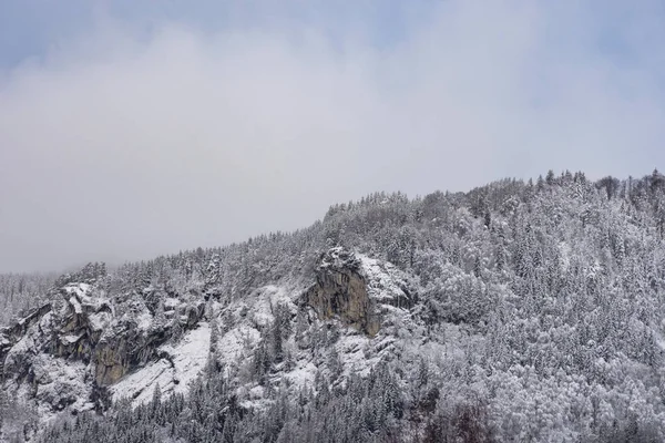 Detail of mountain face with rocks, snow and trees, in Ennstal, Steiermark, Austria