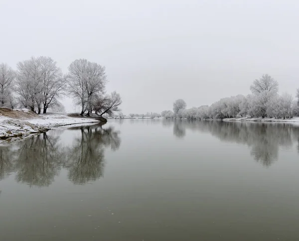 Prachtige Winterse Scene Met Kalme Rivier Bevroren Bomen Arad Roemenië — Stockfoto