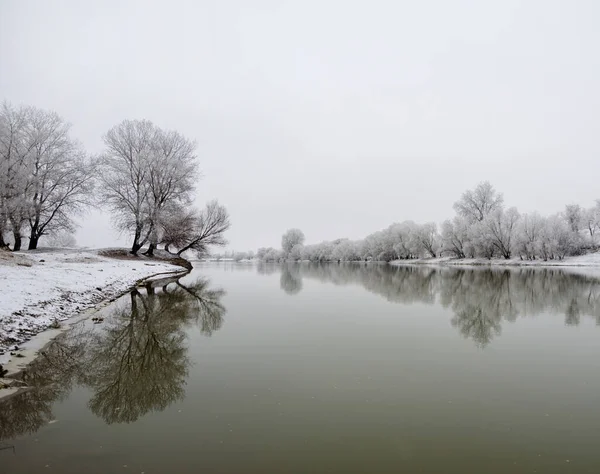 Belle Scène Hiver Avec Rivière Calme Arbres Gelés Arad Roumanie — Photo