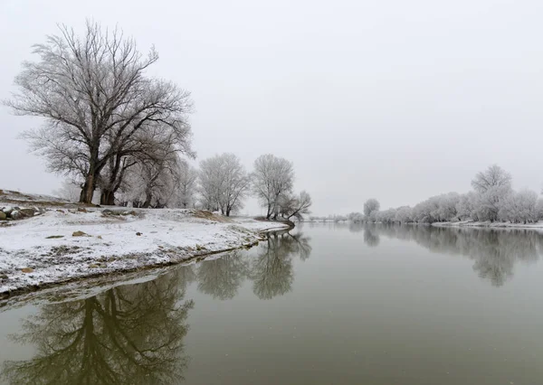 Prachtige Winterse Scene Met Kalme Rivier Bevroren Bomen Arad Roemenië — Stockfoto