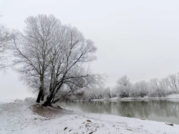 Prachtige Winterse Scene Met Kalme Rivier Bevroren Bomen Arad Roemenië — Stockfoto