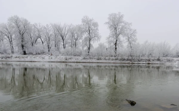 Prachtige Winterse Scene Met Kalme Rivier Bevroren Bomen Arad Roemenië — Stockfoto