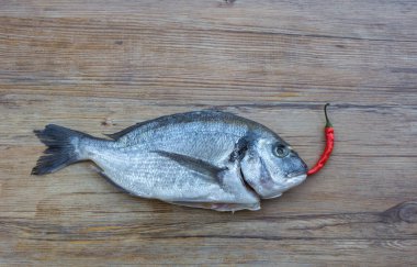 Çiğ dorado ya da ahşap masada kırmızı kırmızı acı biberli çipurya balığı. Metin için boşluk