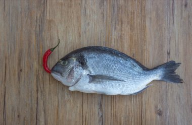 Çiğ dorado ya da ahşap masada kırmızı kırmızı acı biberli çipurya balığı. Metin için boşluk